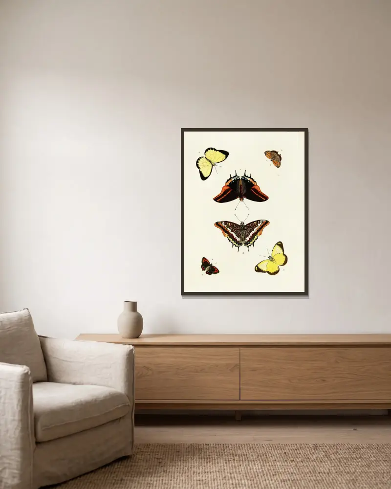 Foreign butterflies occurring in the three continents Asia, Africa and America Pl.433 av Pieter Cramer inramad på en vägg