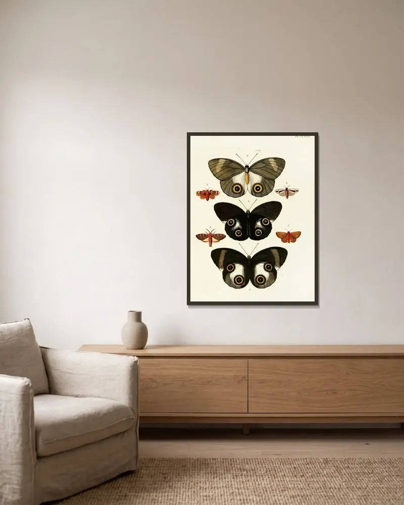 Foreign butterflies occurring in the three continents Asia, Africa and America Pl.432 av Pieter Cramer inramad på en vägg