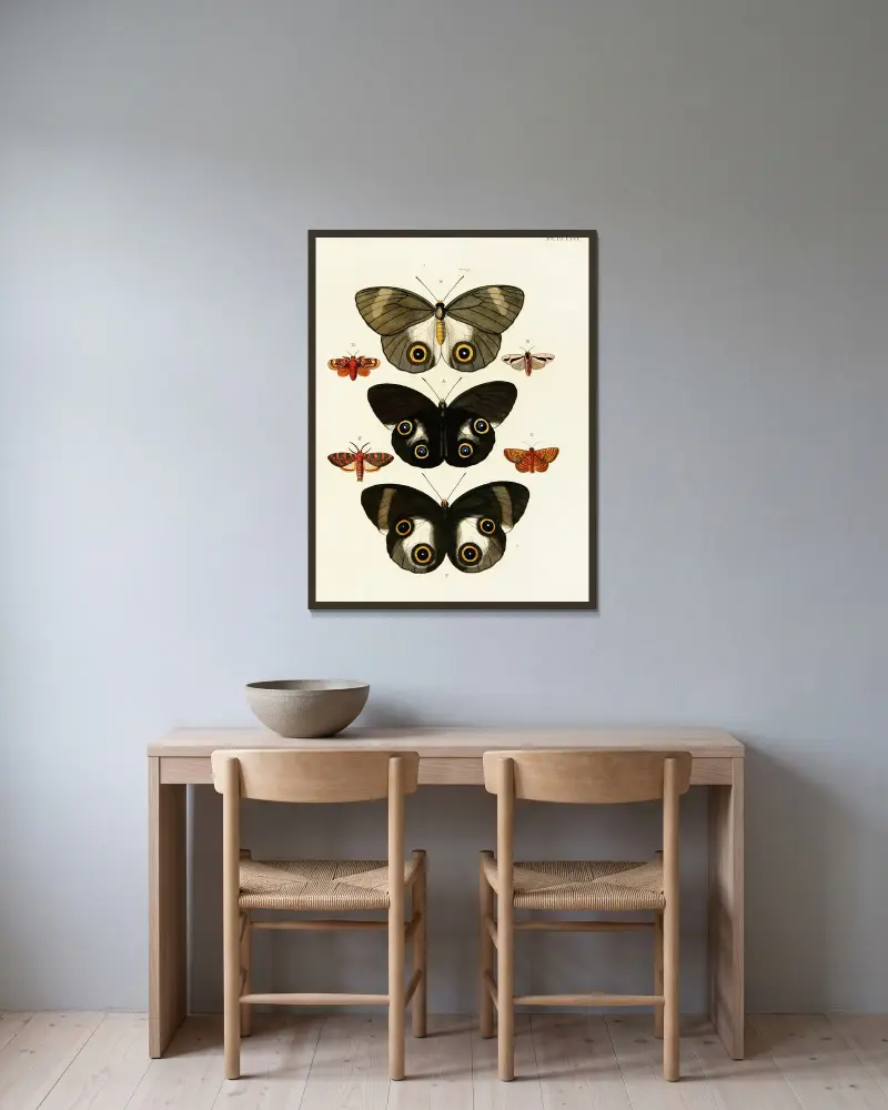Foreign butterflies occurring in the three continents Asia, Africa and America Pl.432 av Pieter Cramer inramad på en vägg