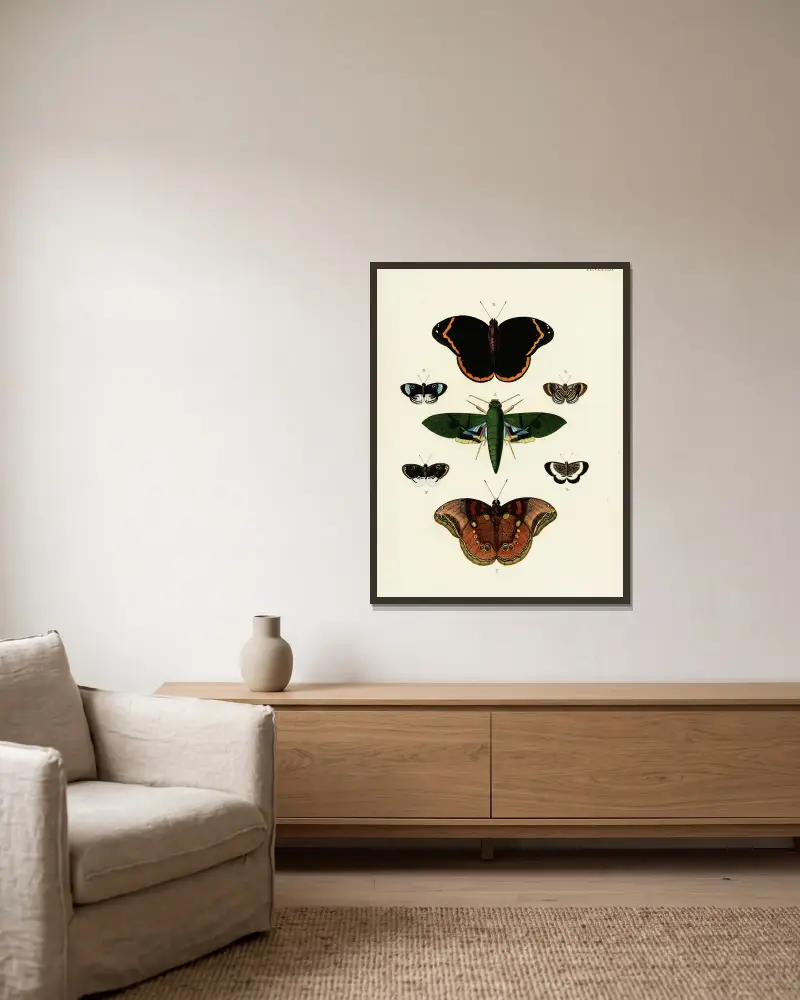 Foreign butterflies occurring in the three continents Asia, Africa and America Pl.431 av Pieter Cramer inramad på en vägg