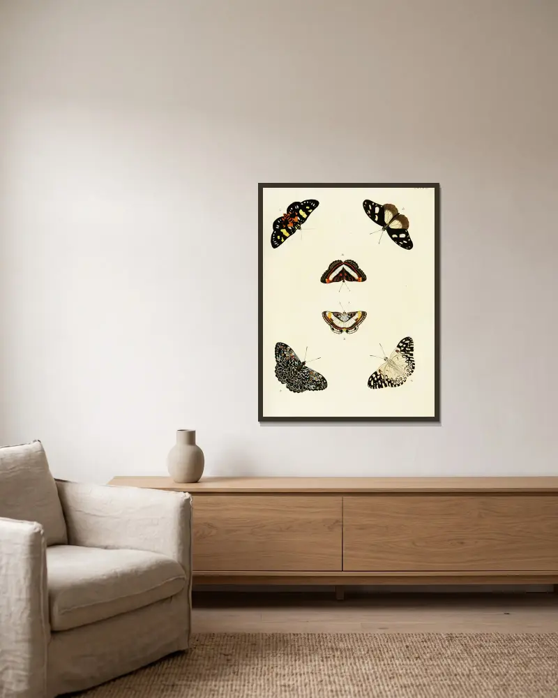 Foreign butterflies occurring in the three continents Asia, Africa and America Pl.439 av Pieter Cramer inramad på en vägg