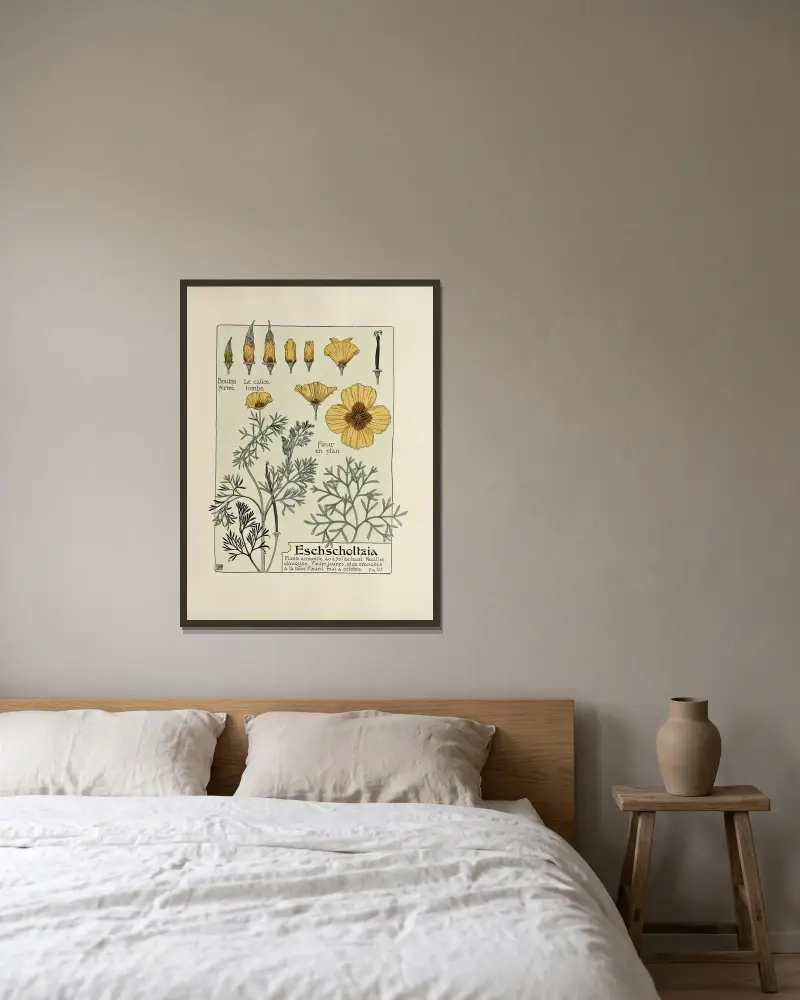 Eschscholtzia von Maurice Pillard Verneuil gerahmt an einer Wand