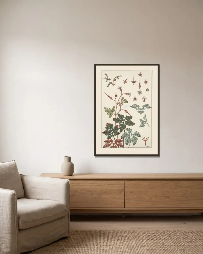 Geranium sauvage von Maurice Pillard Verneuil gerahmt an einer Wand