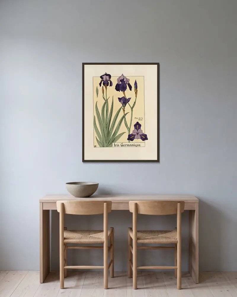 Iris Germanique von Maurice Pillard Verneuil gerahmt an einer Wand