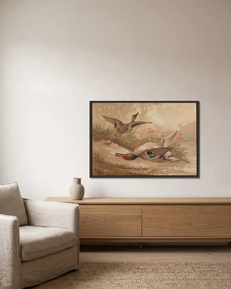 Die Grünflügelente (Querquedula carolinensis) von Alexander Pope Jr. gerahmt an einer Wand