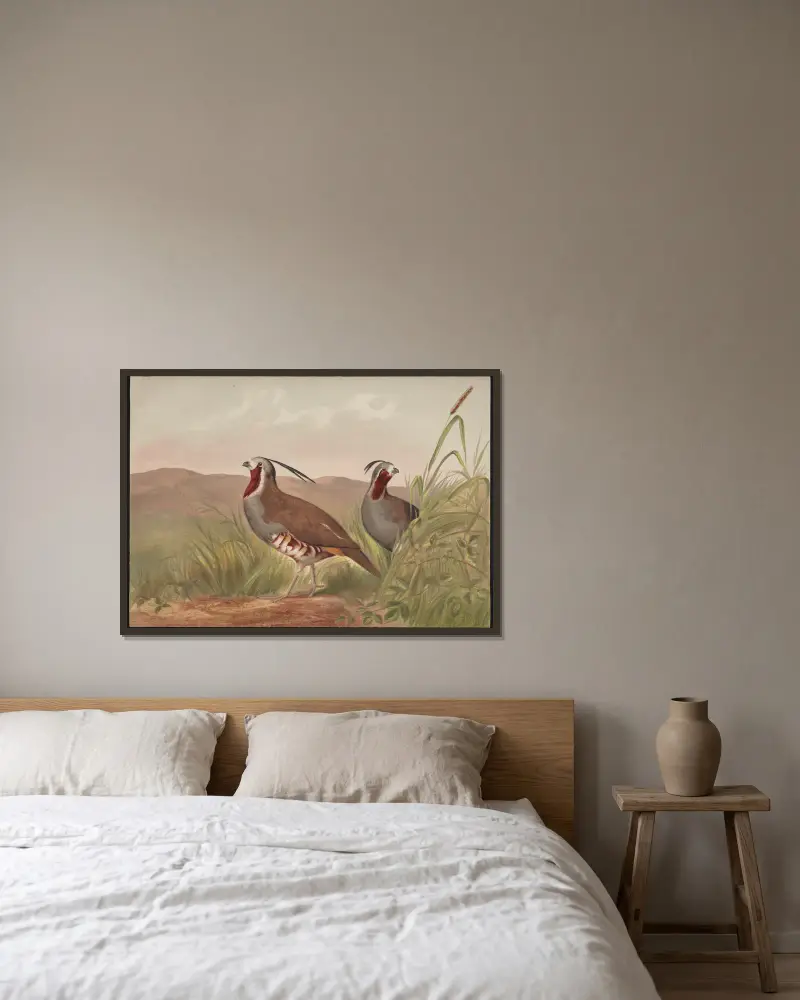 Die Bergwachtel (Oreortyx pictus) von Alexander Pope Jr. gerahmt an einer Wand
