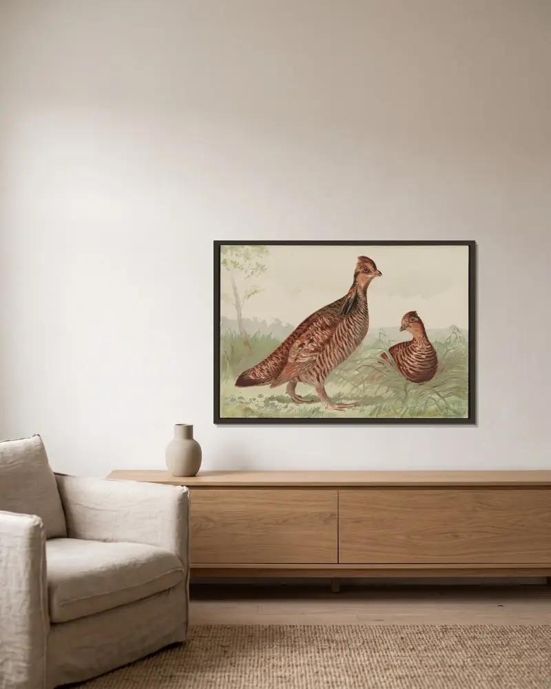 The pinneated grouse (Cupidonia cupido) av Alexander Pope Jr. inramad på en vägg