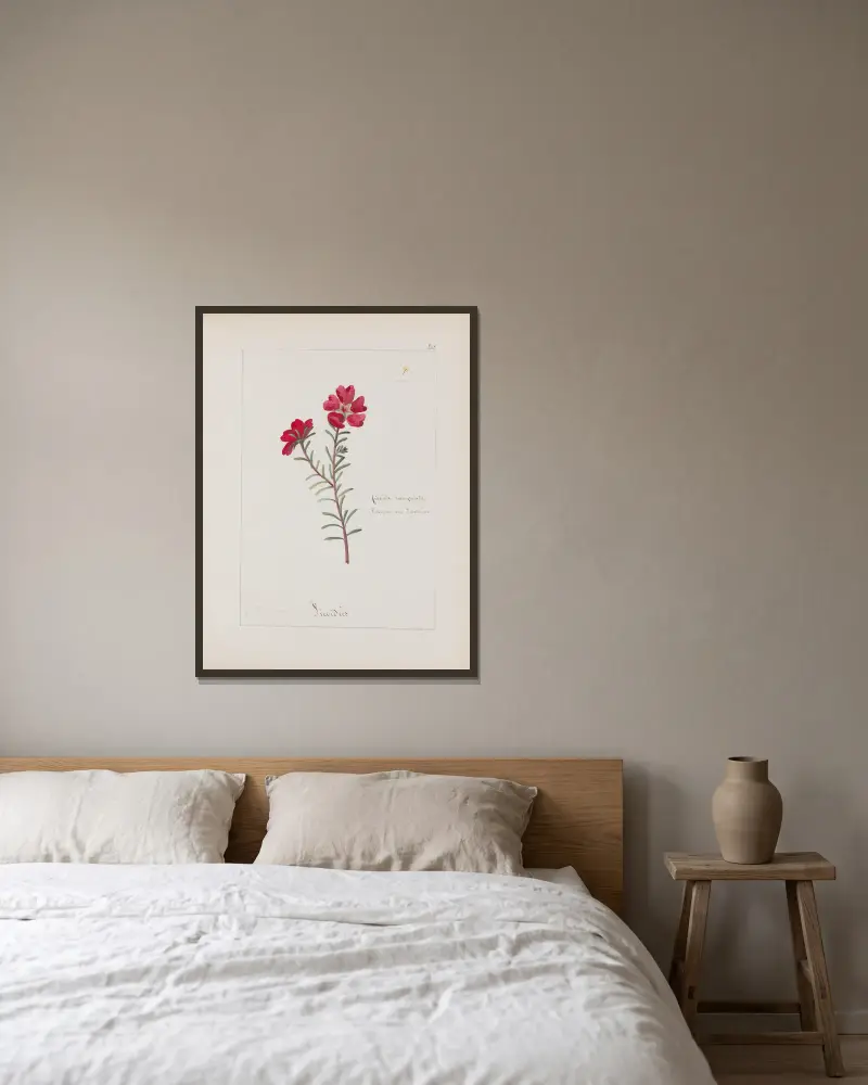 Botanisches Album Tafel 285 von Constant Amable Prevost-Hersant gerahmt an einer Wand