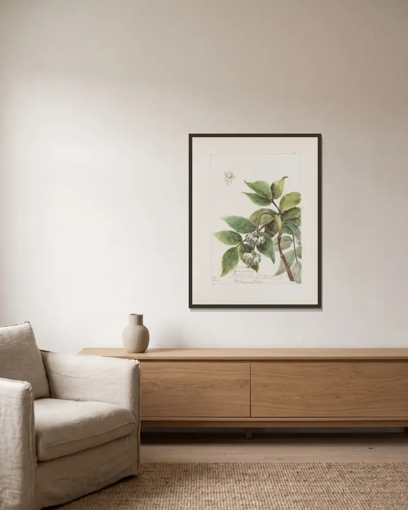 Botanisches Album, Tafel 332 von Constant Amable Prevost-Hersant gerahmt an einer Wand