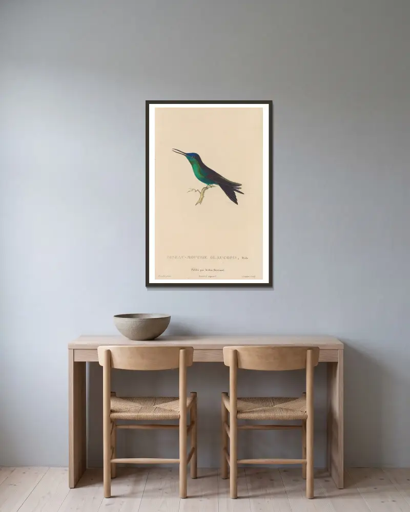 Histoire naturelle des oiseaux-mouches Pl.59 av René-Primevère Lesson inramad på en vägg