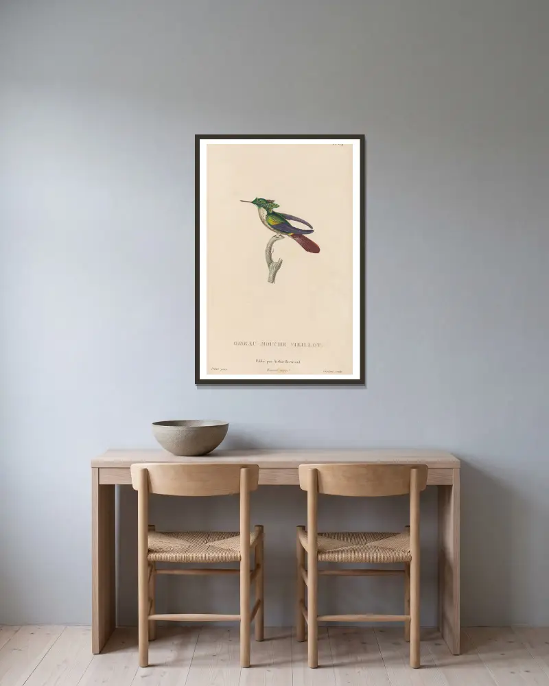 Histoire naturelle des oiseaux-mouches Pl.65 av René-Primevère Lesson inramad på en vägg