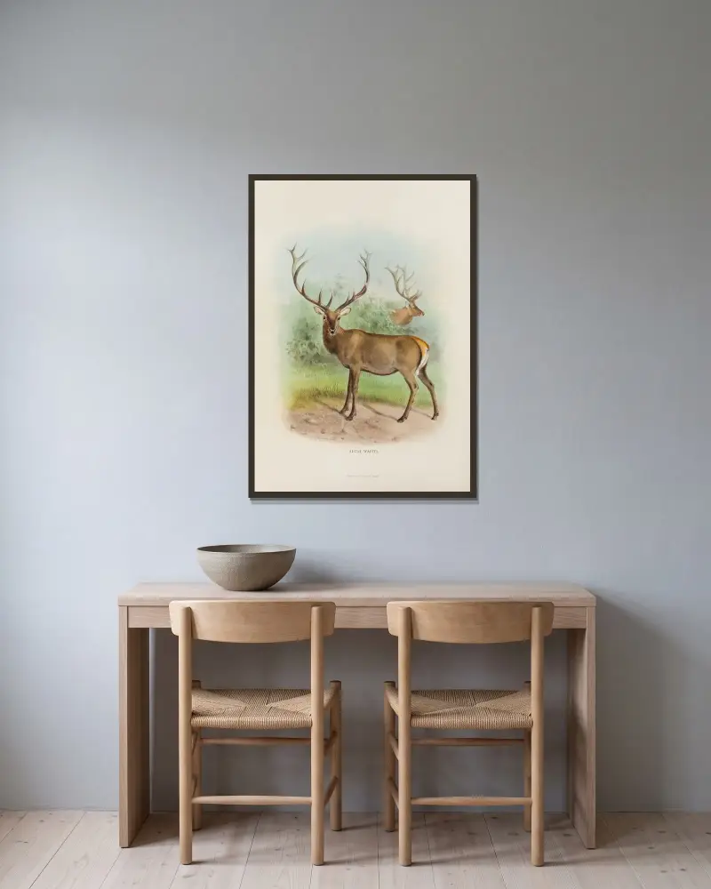 Altai-Wapiti von Richard Lydekker gerahmt an einer Wand