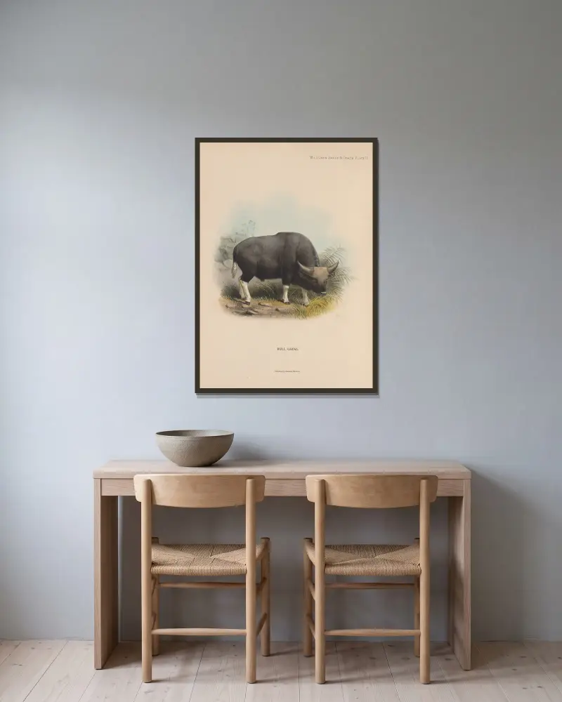 Bull Gayal av Richard Lydekker inramad på en vägg