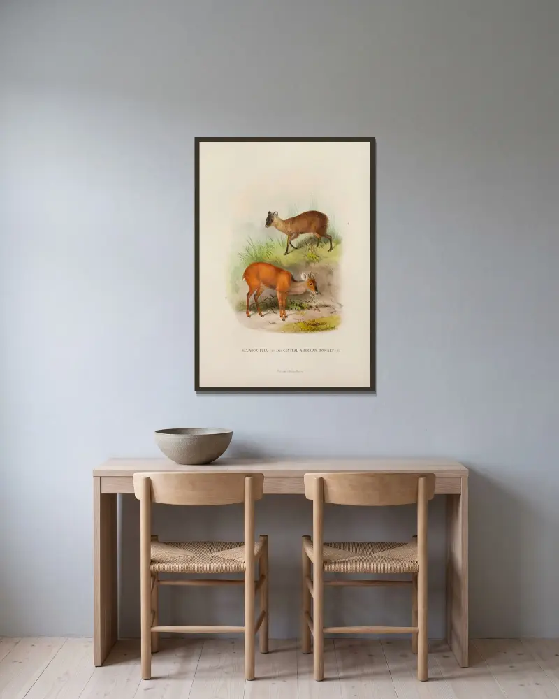 Mittelamerikanischer Spießhirsch und Ecuador-Pudu von Richard Lydekker gerahmt an einer Wand