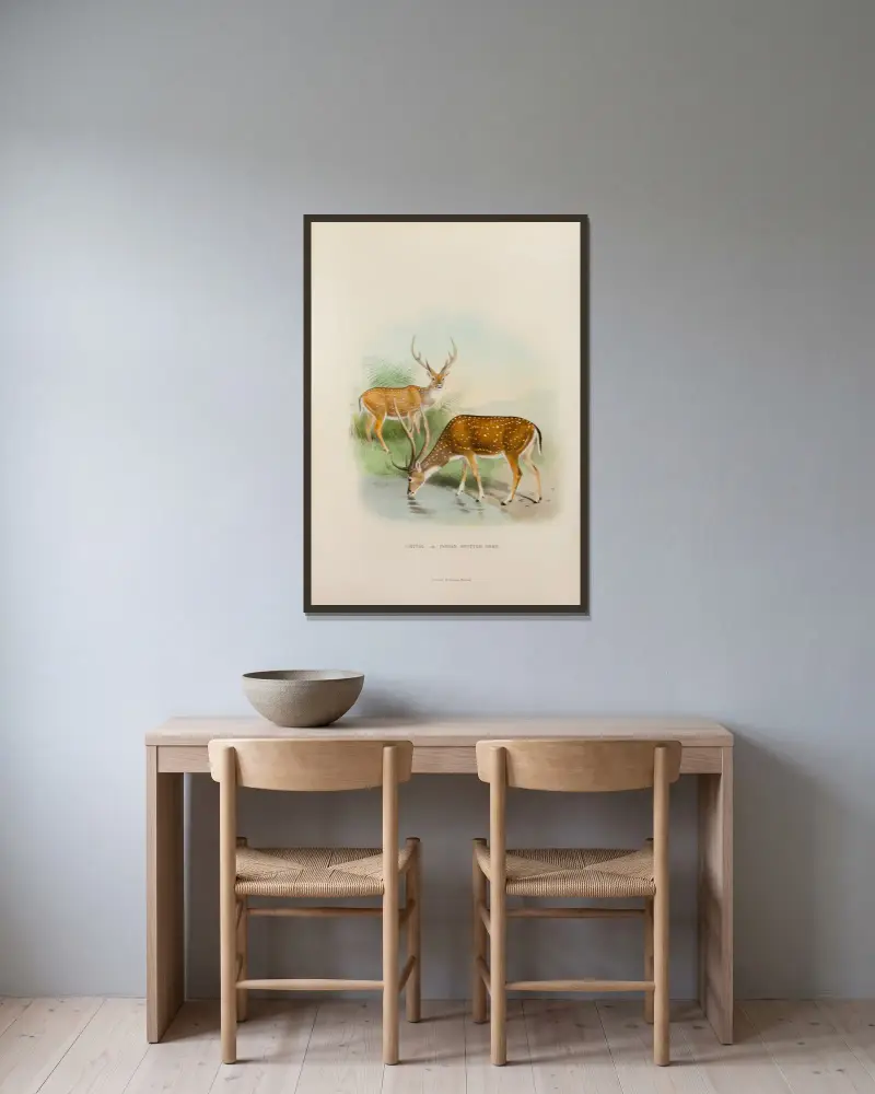 Chital, Richard Lydekker w ramie na ścianie