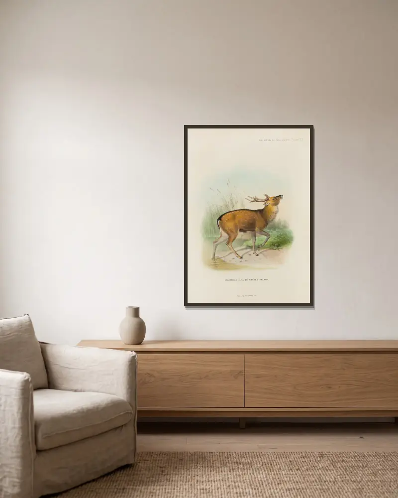 Formosa-Sikahirsch von Richard Lydekker gerahmt an einer Wand