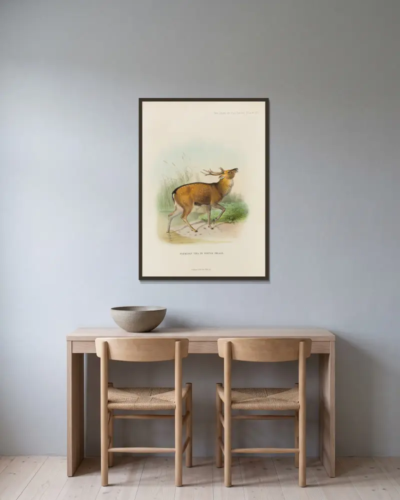 Formosa-Sikahirsch von Richard Lydekker gerahmt an einer Wand