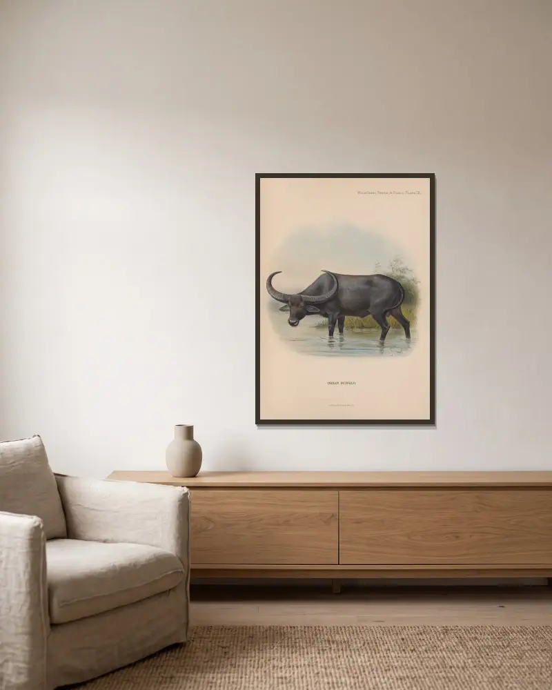 Indischer Büffel von Richard Lydekker gerahmt an einer Wand