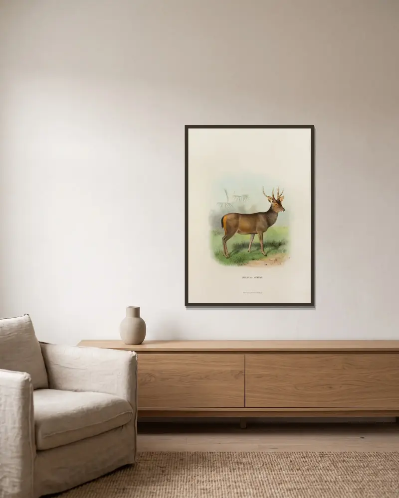 Malaiischer Sambar von Richard Lydekker gerahmt an einer Wand