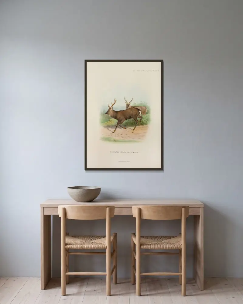 Manchurischer Sikahirsch von Richard Lydekker gerahmt an einer Wand