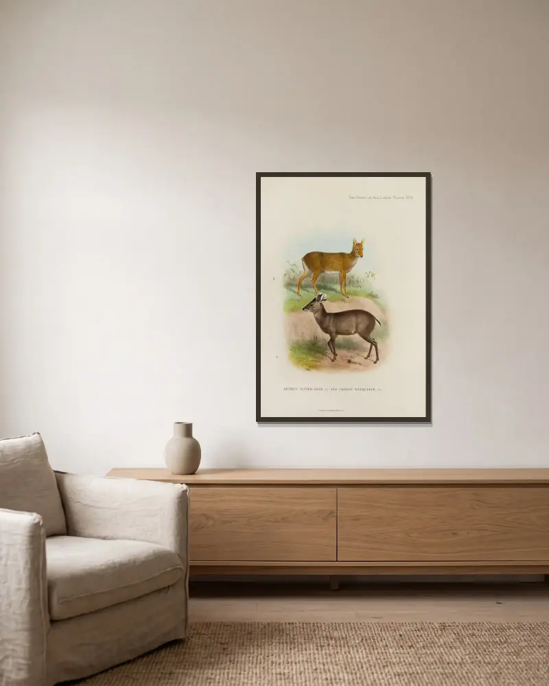 Michies Haubenhirsch und Chinesischer Wasserhirsch von Richard Lydekker gerahmt an einer Wand