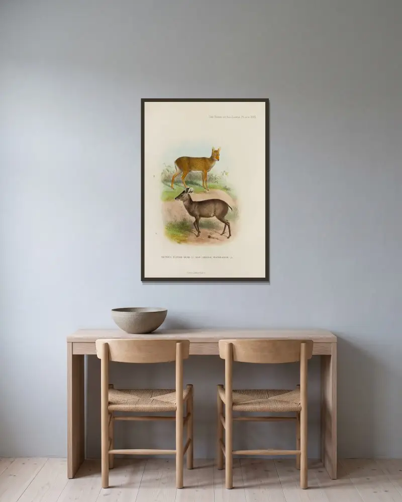 Michies Haubenhirsch und Chinesischer Wasserhirsch von Richard Lydekker gerahmt an einer Wand