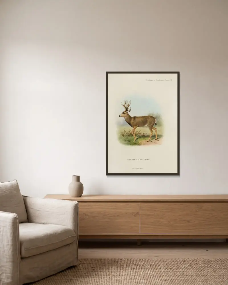 Maultierhirsch von Richard Lydekker gerahmt an einer Wand