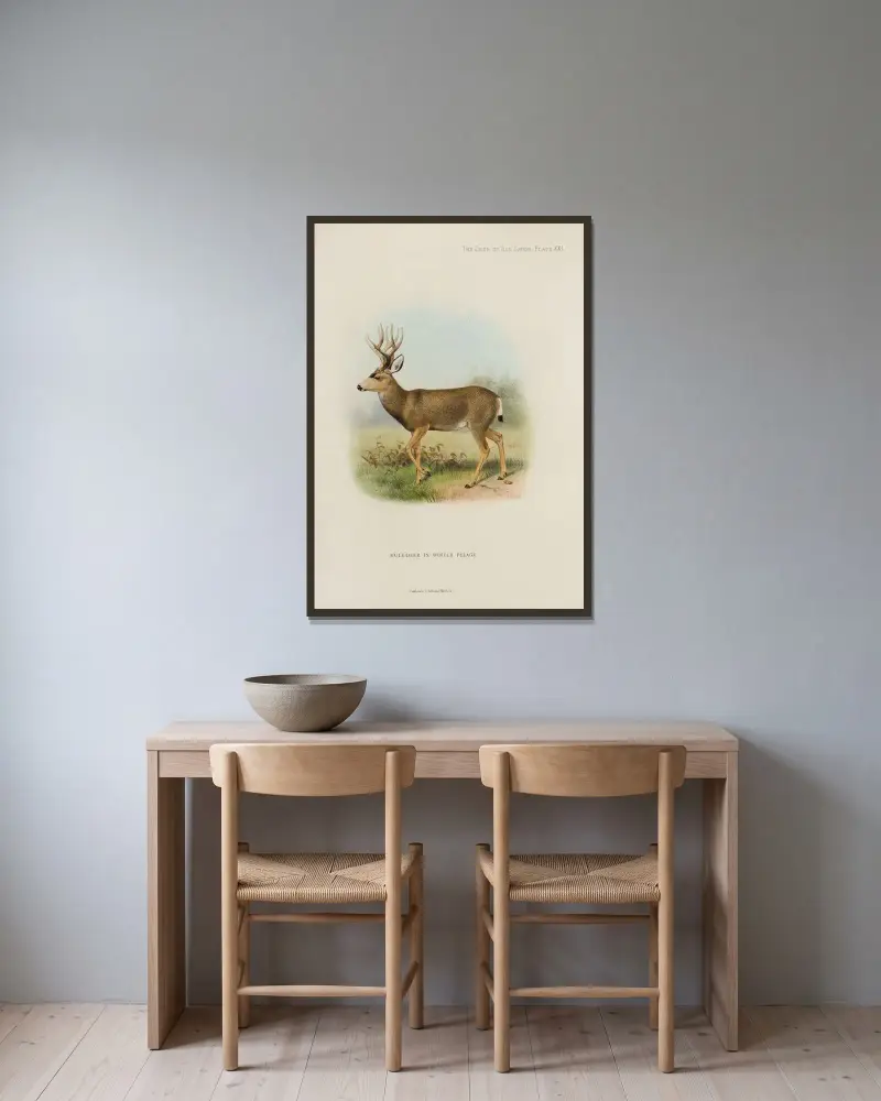 Maultierhirsch von Richard Lydekker gerahmt an einer Wand