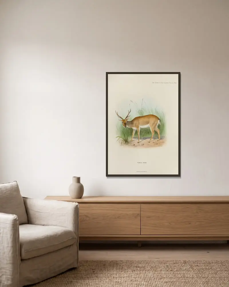 Pampashirsch von Richard Lydekker gerahmt an einer Wand