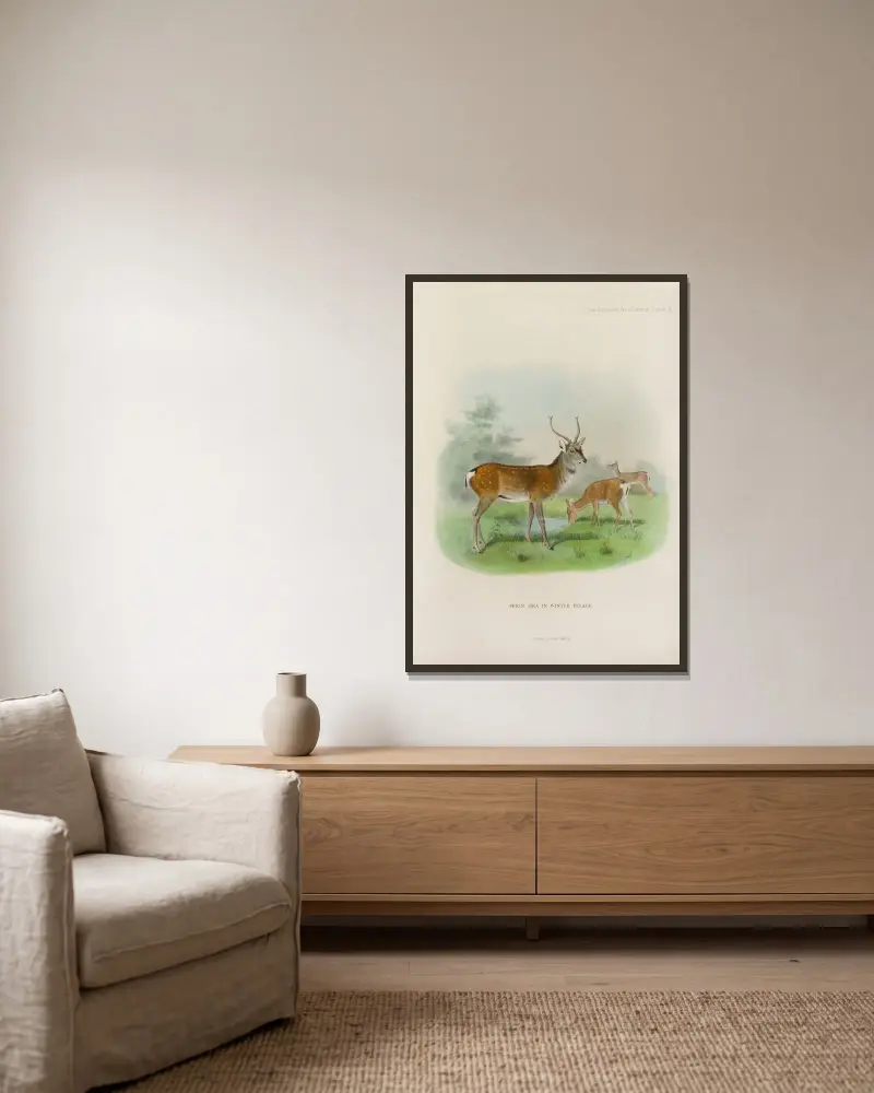 Peking-Sika von Richard Lydekker gerahmt an einer Wand