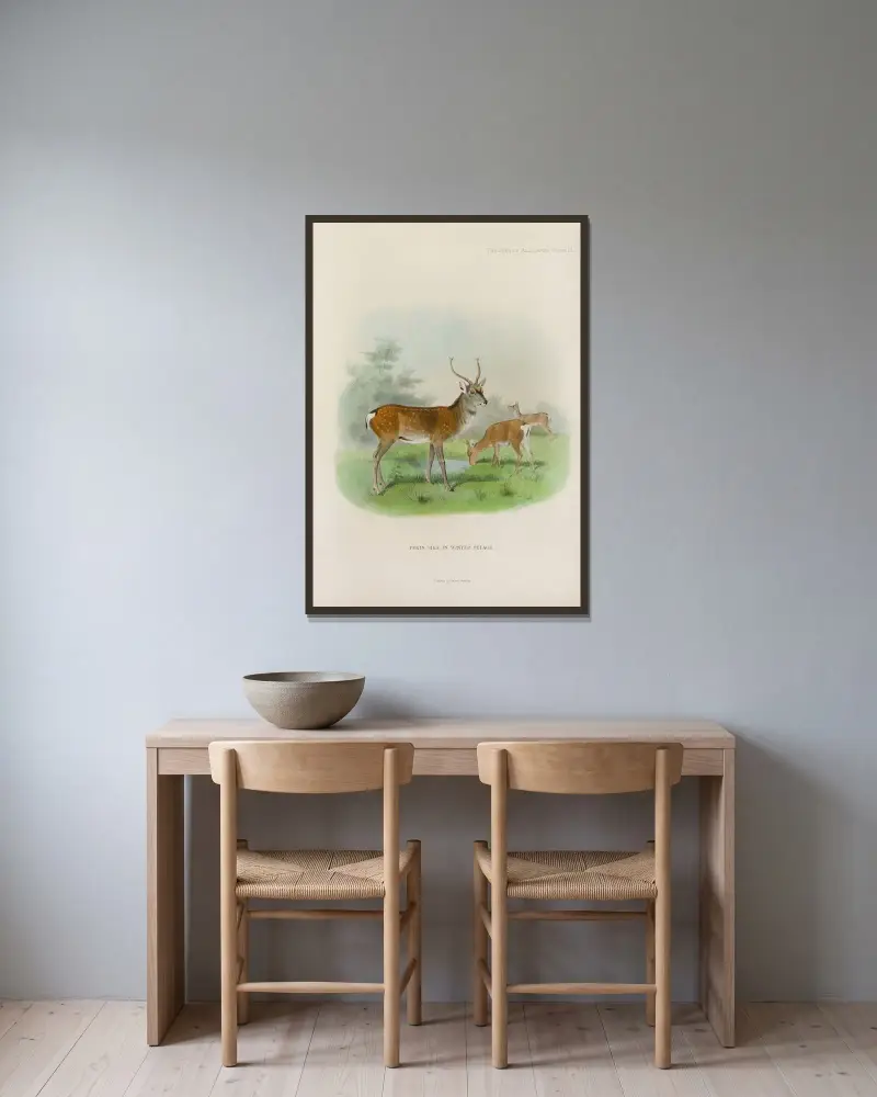 Peking-Sika von Richard Lydekker gerahmt an einer Wand
