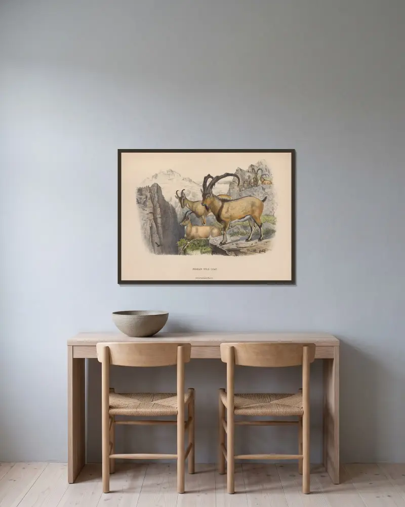 Persian Wild Goat . av Richard Lydekker inramad på en vägg