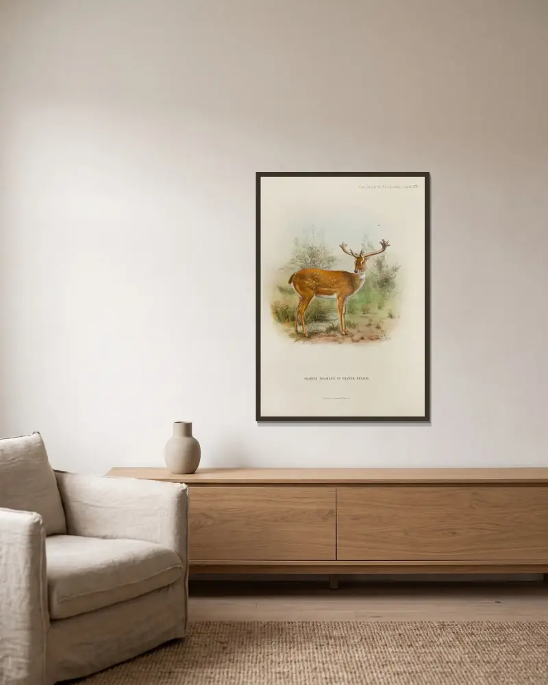 Siamesischer Thameng von Richard Lydekker gerahmt an einer Wand