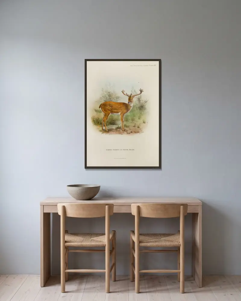 Siamesischer Thameng von Richard Lydekker gerahmt an einer Wand