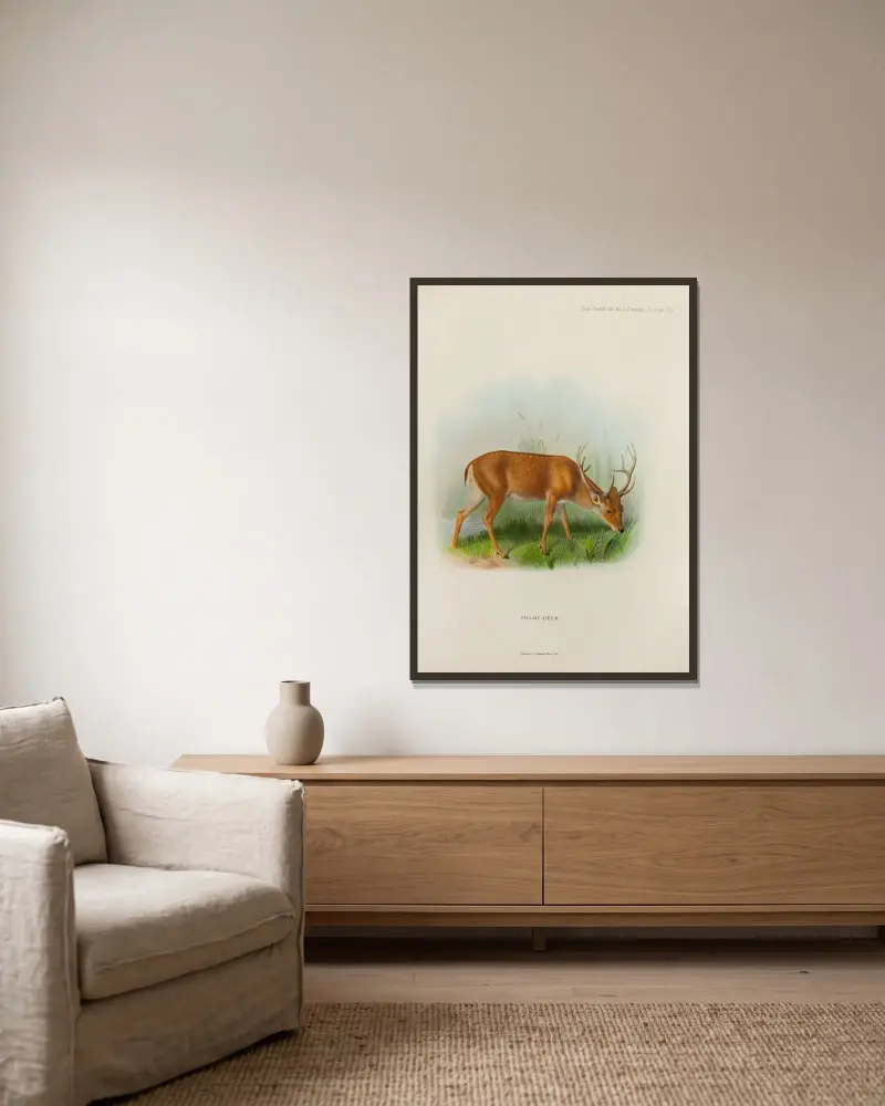 Sumpfhirsch von Richard Lydekker gerahmt an einer Wand