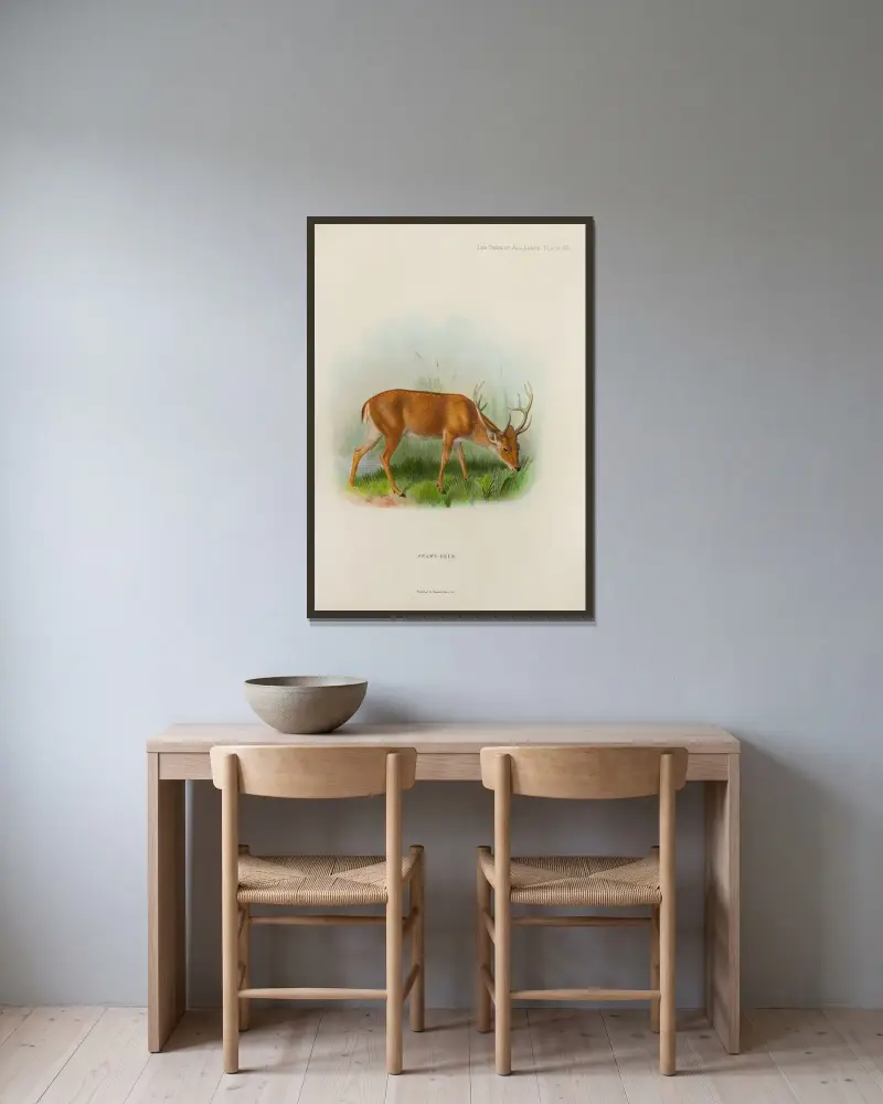 Sumpfhirsch von Richard Lydekker gerahmt an einer Wand