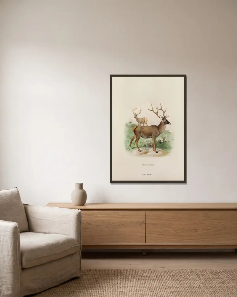 Thorold’s Hirsch von Richard Lydekker gerahmt an einer Wand