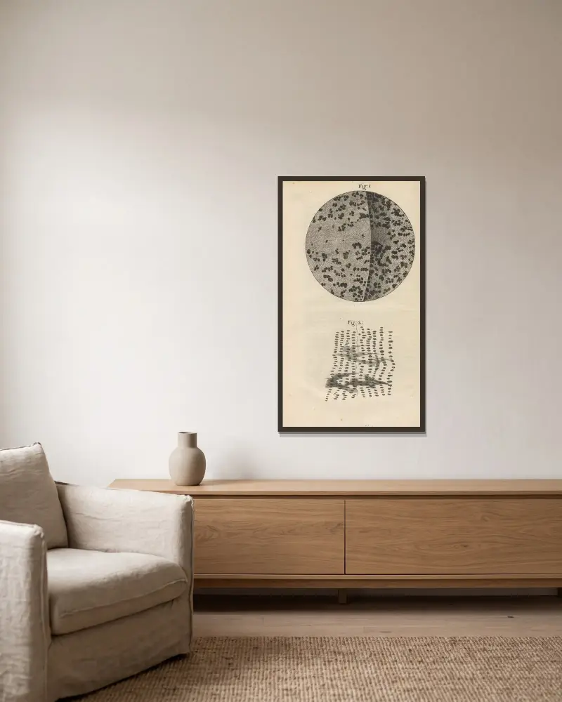 Mikroskopische Ansicht von Holzkohle und versteinertem Holz von Robert Hooke gerahmt an einer Wand