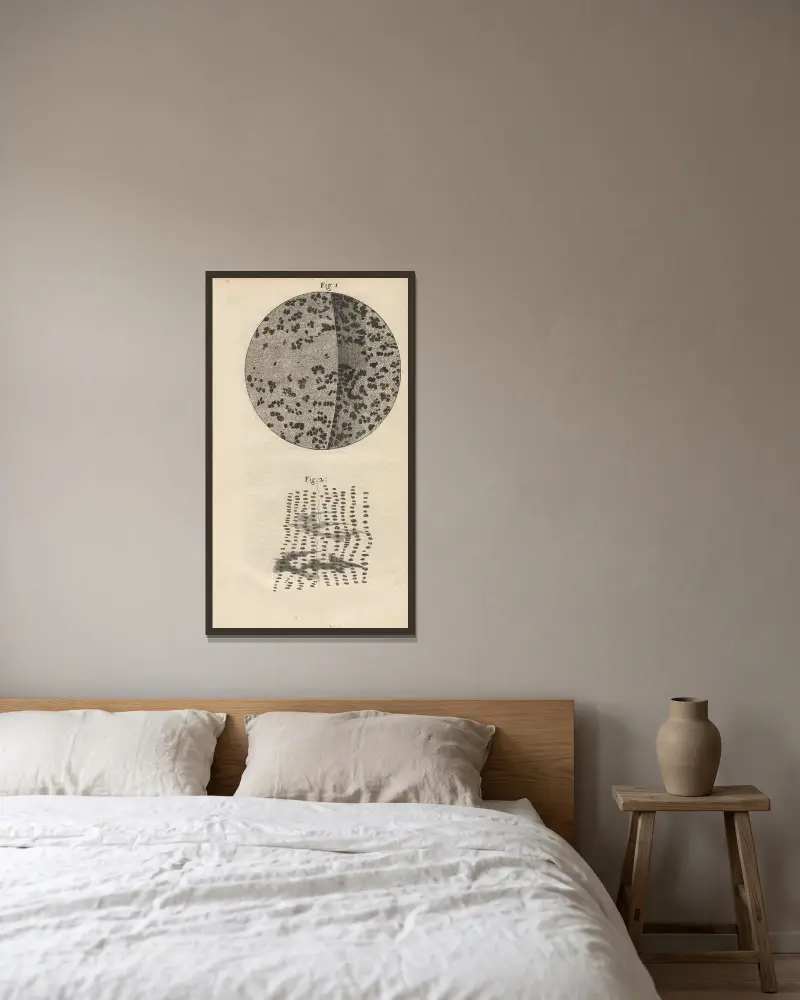 Mikroskopische Ansicht von Holzkohle und versteinertem Holz von Robert Hooke gerahmt an einer Wand