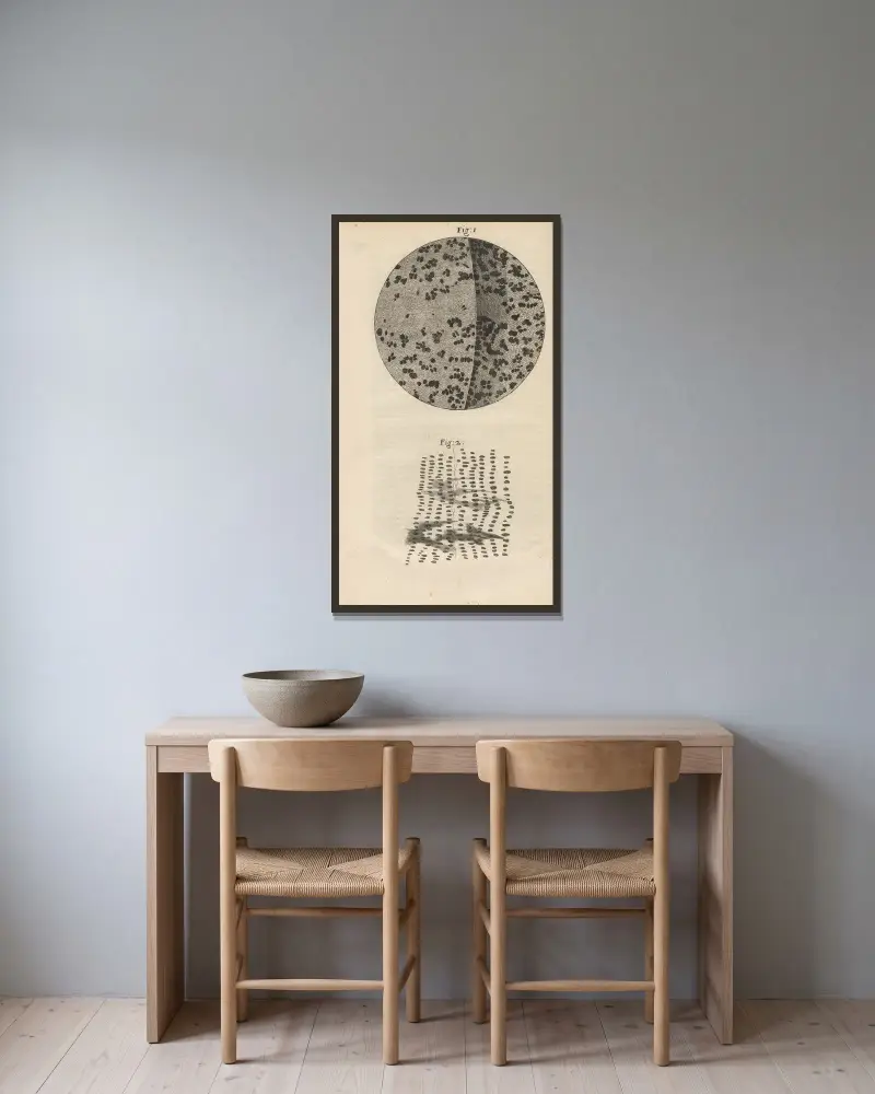 Mikroskopische Ansicht von Holzkohle und versteinertem Holz von Robert Hooke gerahmt an einer Wand