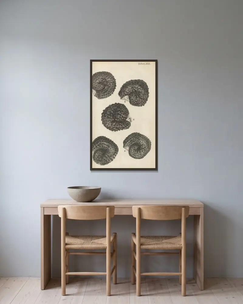 Mikroskopische Ansicht von Portulaksamen von Robert Hooke gerahmt an einer Wand