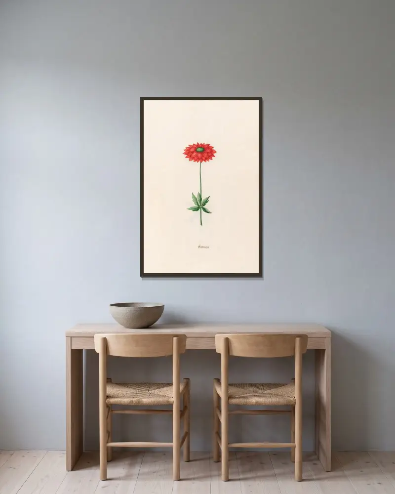 Anemone, 1692 – Nr. 3 von Magdelena Rosina Funck gerahmt an einer Wand