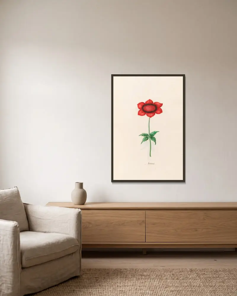 Anemone, 1692 – Nr. 5 von Magdelena Rosina Funck gerahmt an einer Wand
