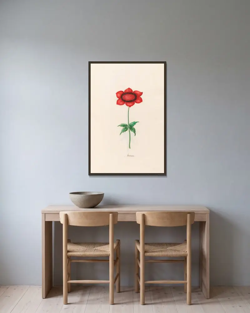 Anemone, 1692 – Nr. 5 von Magdelena Rosina Funck gerahmt an einer Wand