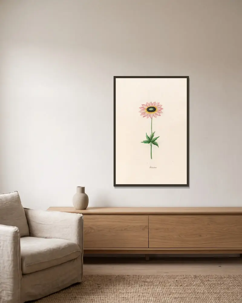 Anemone, 1692 – Nr. 1 von Magdelena Rosina Funck gerahmt an einer Wand