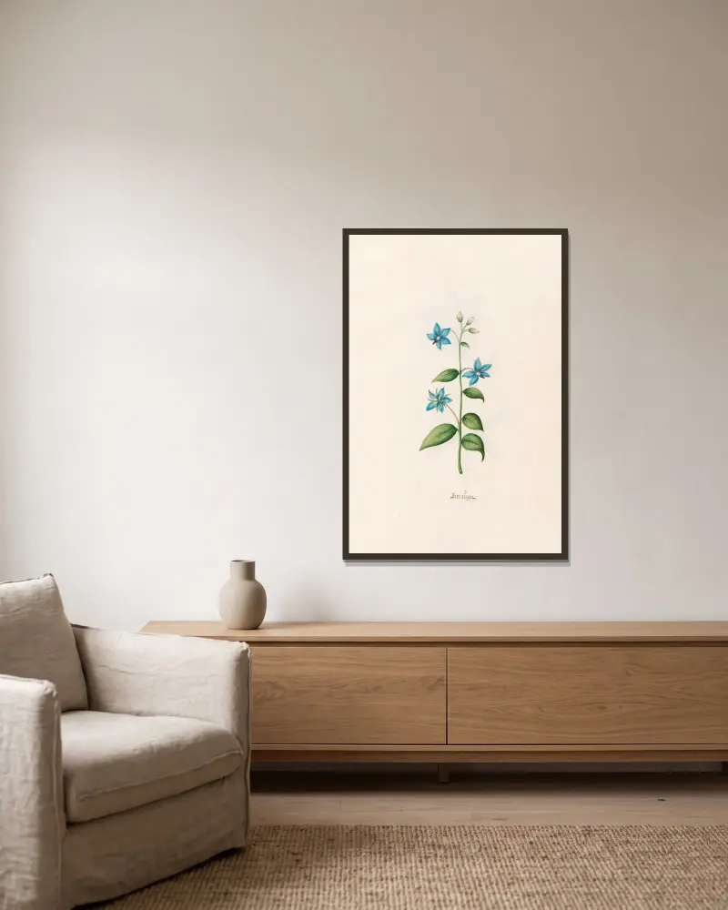 Borraügen von Magdelena Rosina Funck gerahmt an einer Wand