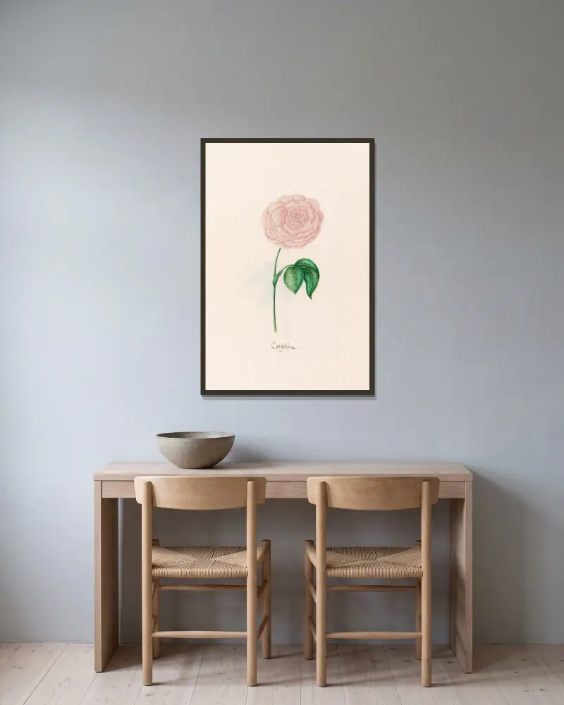Centifoliüm von Magdelena Rosina Funck gerahmt an einer Wand