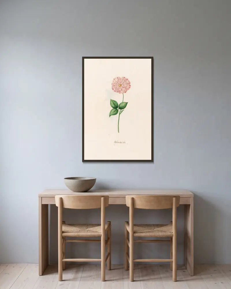 Geftambte rose, Magdelena Rosina Funck v rámu na stěně