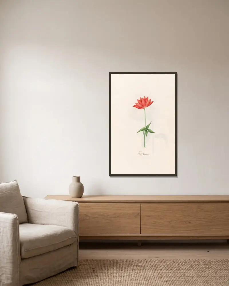 Herbst-Anemone von Magdelena Rosina Funck gerahmt an einer Wand