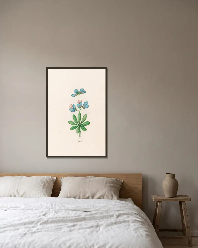 Lüpinen von Magdelena Rosina Funck gerahmt an einer Wand